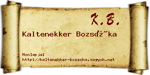 Kaltenekker Bozsóka névjegykártya